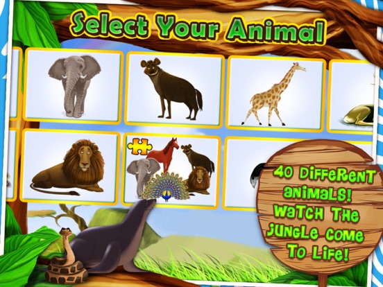 Zoo animals videos