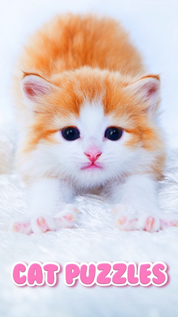 【图】Cat Kitten Jigsaw Puzzle Games(截图1)