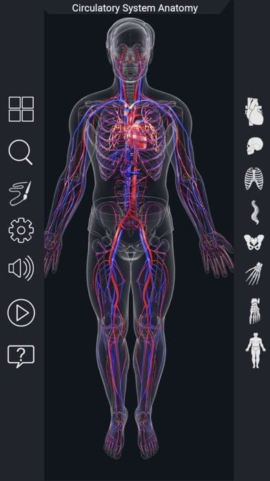 My Circulatory System Anatomy screenshot 3