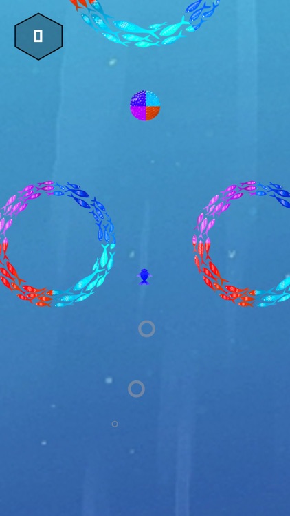 Big Fish - Impossible Bounce screenshot-0