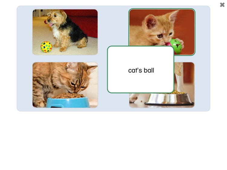 See and Learn Phrases 1 screenshot-6