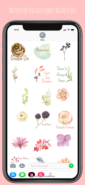 Vintage Birds & Floral Sticker(圖2)-速報App