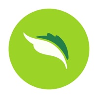 Nana نعناع Avis