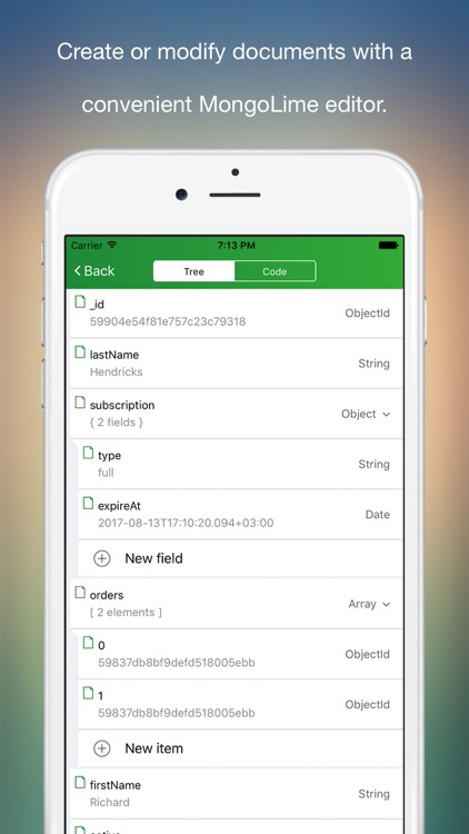 MongoLime - manage databases screenshot-3