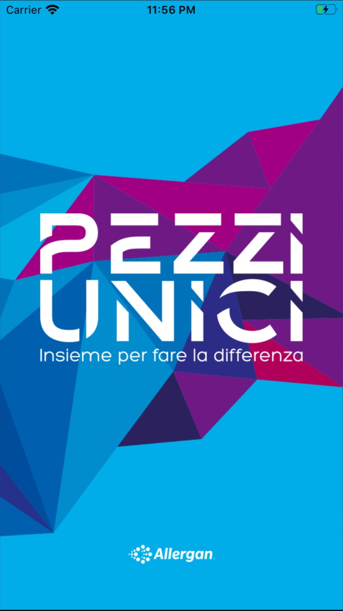 Pezzi Unici