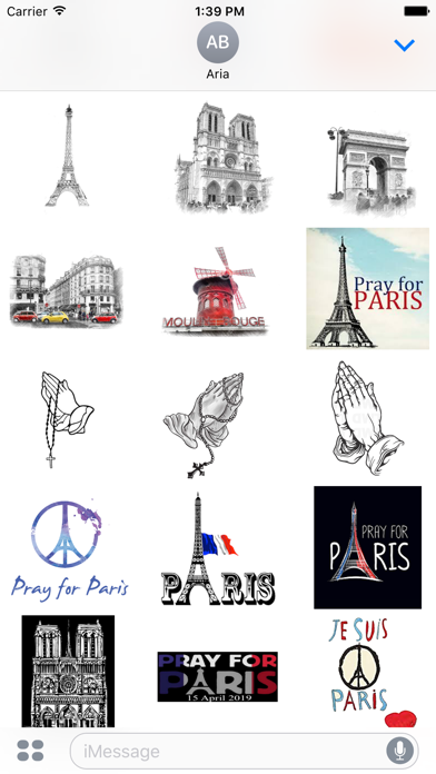 Pray For Notre Dame de Paris screenshot 2