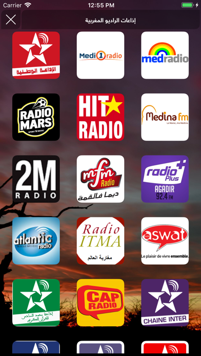 How to cancel & delete Arab Radios - الإذاعات العربية from iphone & ipad 2