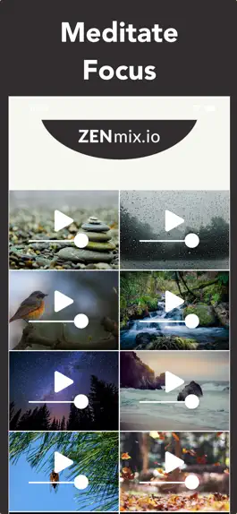 Game screenshot ZENmix.io apk