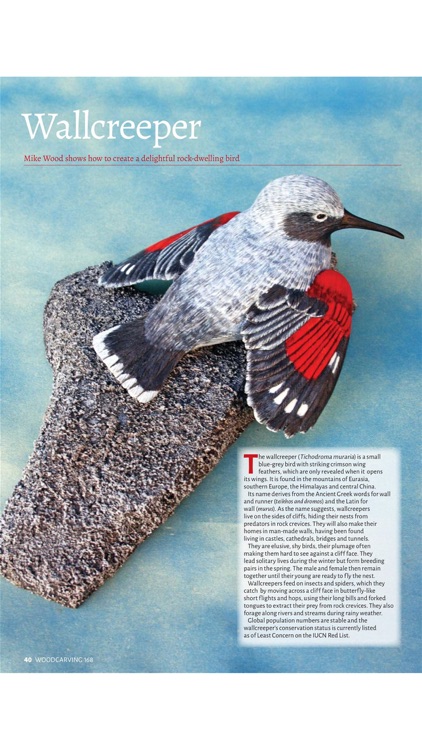 Woodcarving Magazine screenshot-4