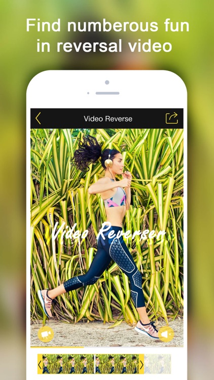 Video Reverser -Animation Crop