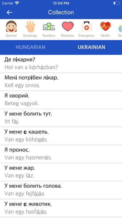 Hungarian Ukrainian Dictionary screenshot 2