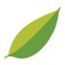 The Emporia app provides clear, meaningful energy use analysis and actionable recommendations that help homeowners save money, conserve energy, and reduce carbon