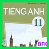 Tieng Anh Lop 11 - English 11
