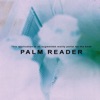 Palm Reader Book AR Portal