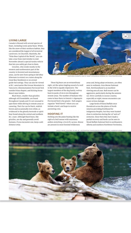 Globelite Travel Magazine screenshot-4