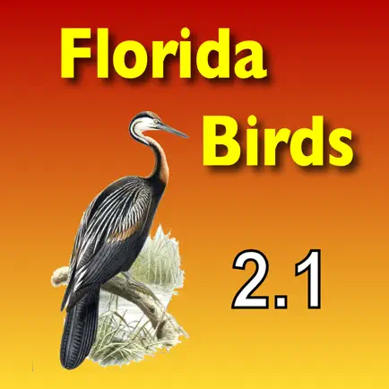 Birds of South Florida Читы