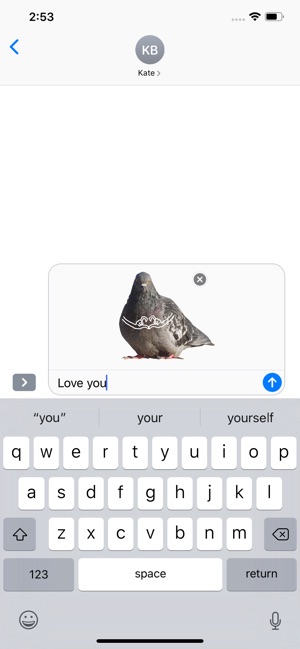 Pigeon With Hands(圖3)-速報App