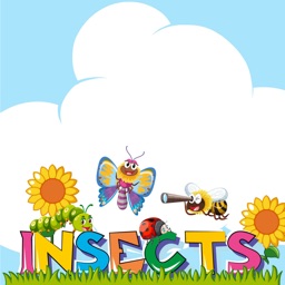 Insects Learning Quiz