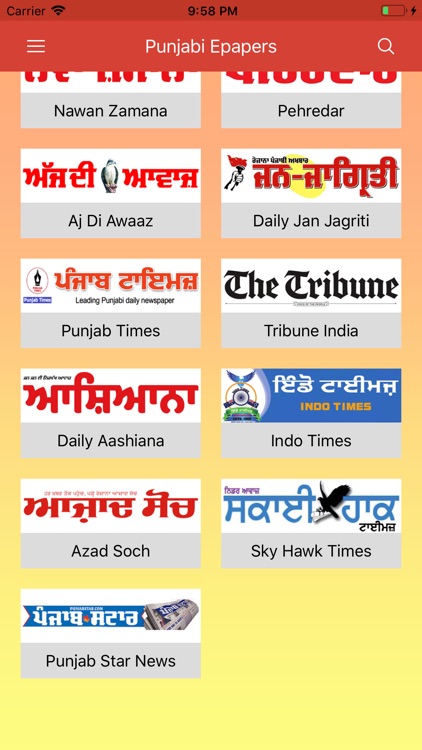 Punjabi Newspapers