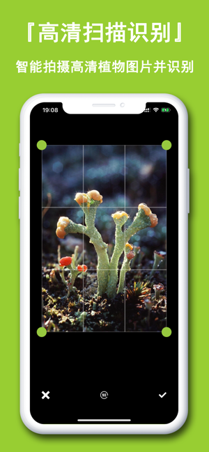 植物识别-拍照识花草树木神器 in de app store