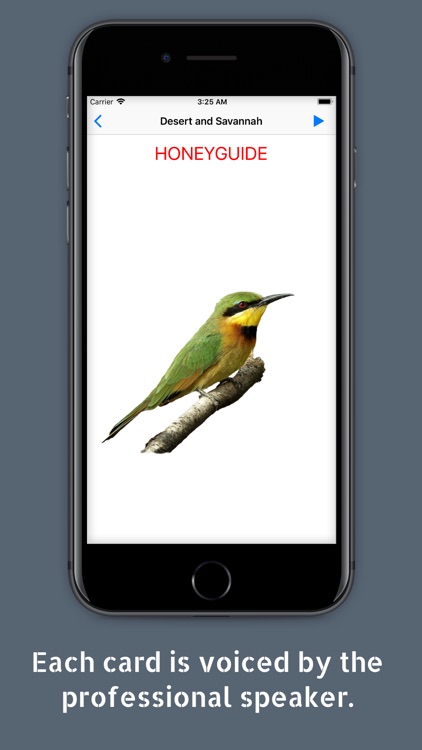 Cards with Birds (Full) screenshot-3