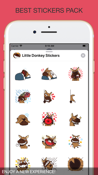 Little Donkey Stickers screenshot 2