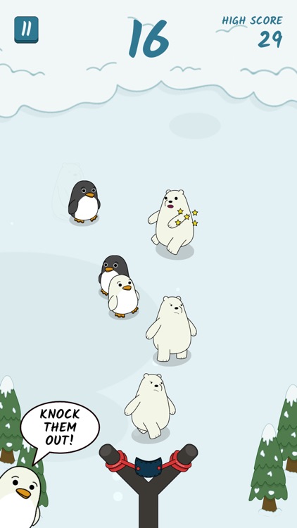 Penguins & Polar Bears