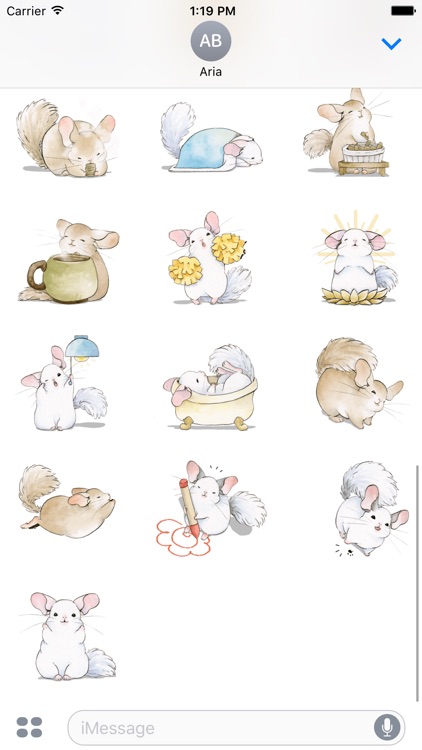 Adorable Chinchilla Sticker screenshot-3