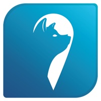 Hachi pour PC