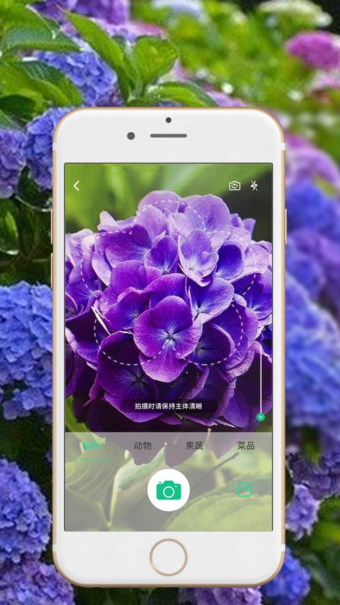 截图 iphone 识物app是基于人工智能,打造的一款快速精准识别花草树木