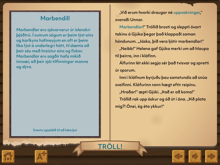 Sögusteinninn leikjabók screenshot-9