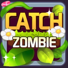 Activities of Catch Zombie