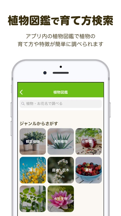 GreenSnap - 植物・花の名前が判る写真共有アプリ screenshot-3