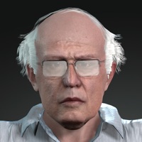 Bernie Run pour PC
