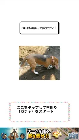Game screenshot わんこ天気〜天気予報＆可愛い犬の写真〜 apk