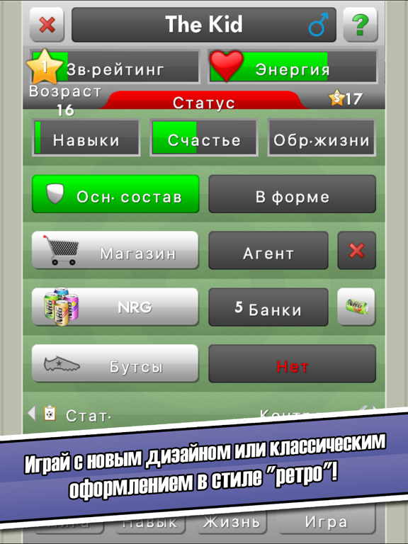 New Star Soccer для iPad