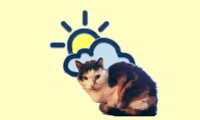 WeatherCatTV