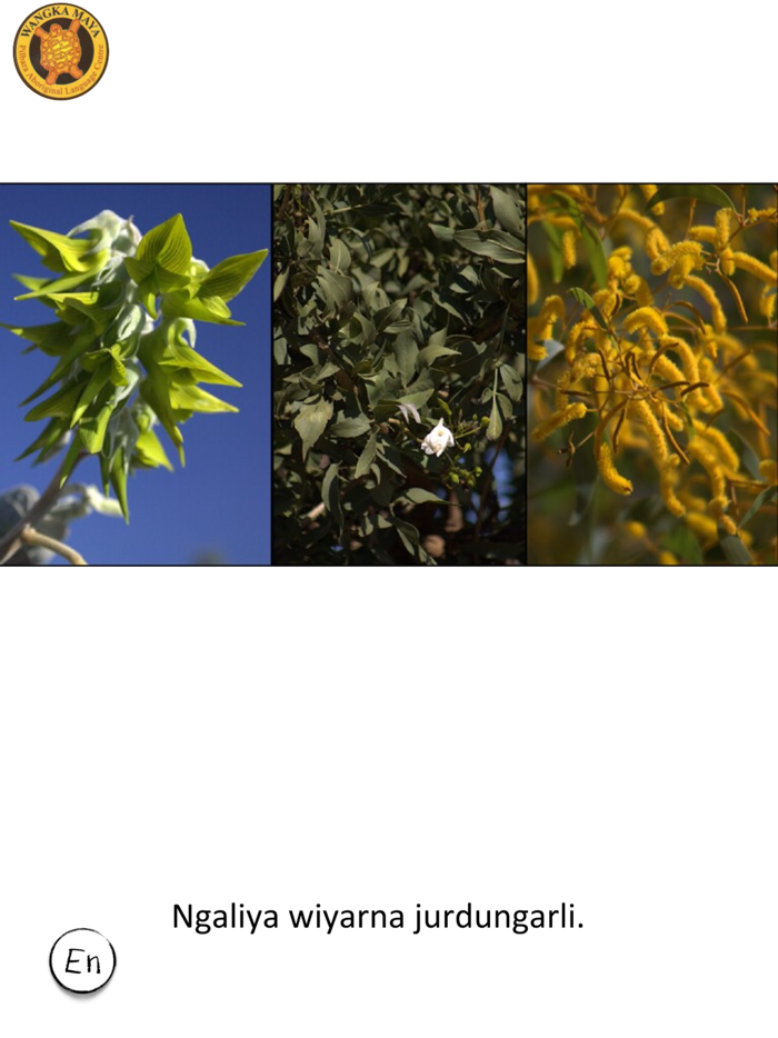 Kathleentharndu Wanggangarli