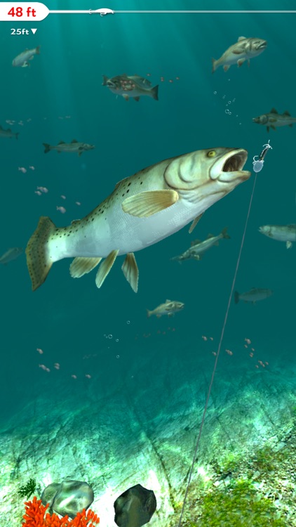 Rapala Fishing - Daily Catch screenshot-7