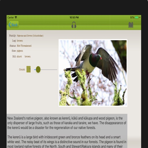 NZBirder icon