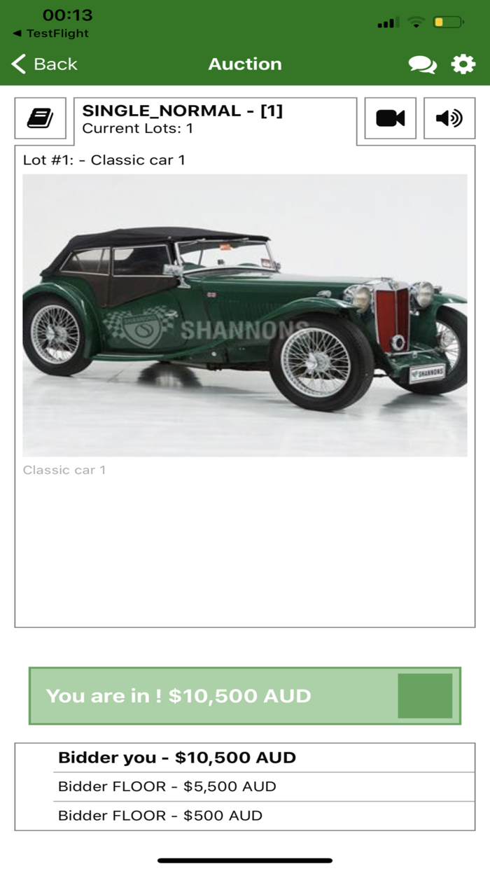 Shannons Auctions Bidding