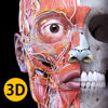 解剖学 - 3Dアトラス apk