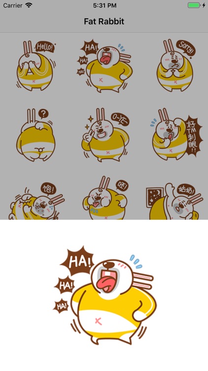 Fat Rabbit
