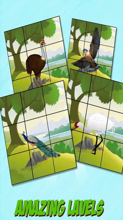 Bird Slide Puzzle Fun Game screenshot-3