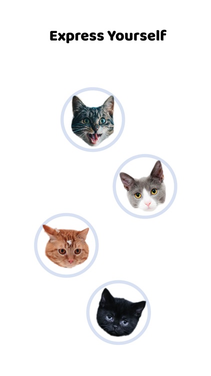 Cute Kitten - Stickers screenshot-4