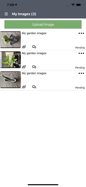 Plant-ID(圖5)-速報App