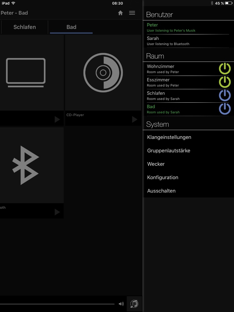 Revox Multiuser Control screenshot 3