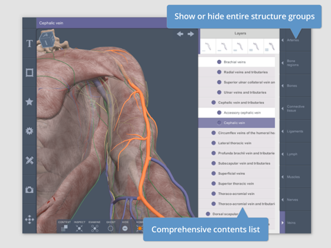 Shoulder: 3D Real-time screenshot 3