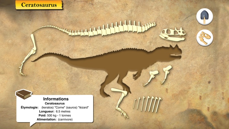 Dinosaures et Paléontologie