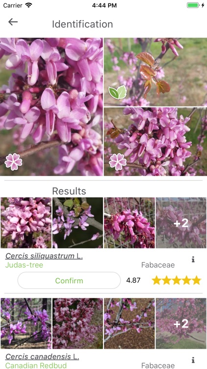PlantNet